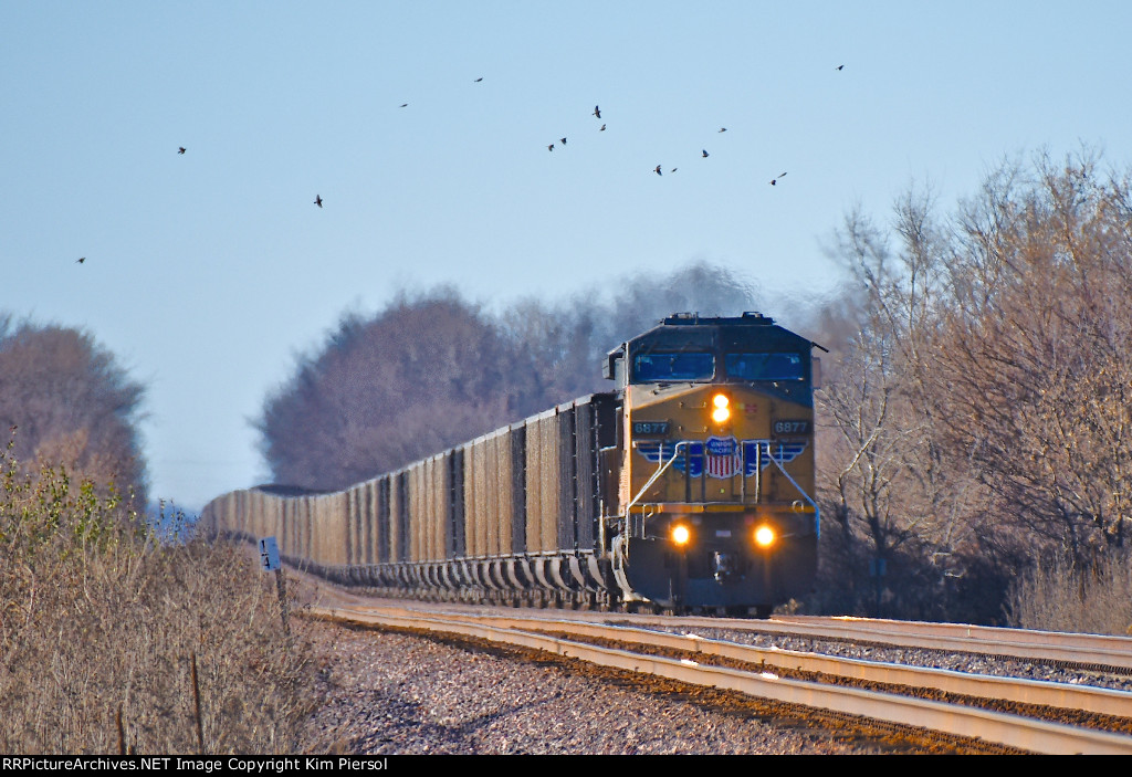 UP 6877 Coal Loads